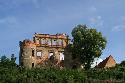 Zamek Siedlisko (20060815 0011)